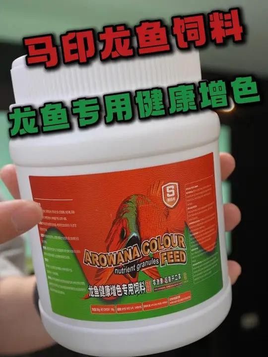 有哪些食物可以幫助金龍魚發色？ 有哪些食物可以幫助金龍魚發色？ 龍魚百科 第5張