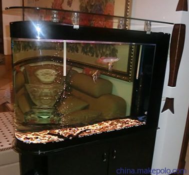 彩鰈魚缸（彩蝶魚缸）批發：彩蝶魚缸批發和貨源基地