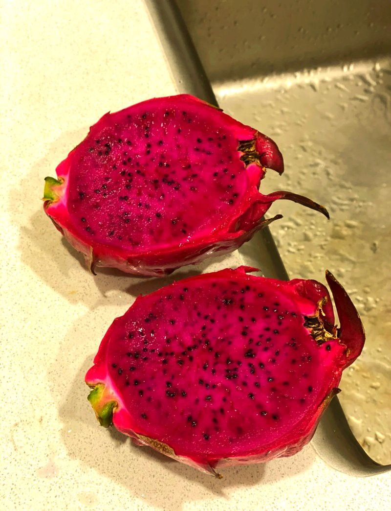 如何判斷小火龍是否需要休息？ 如何判斷小火龍是否需要休息？ 龍魚百科 第1張