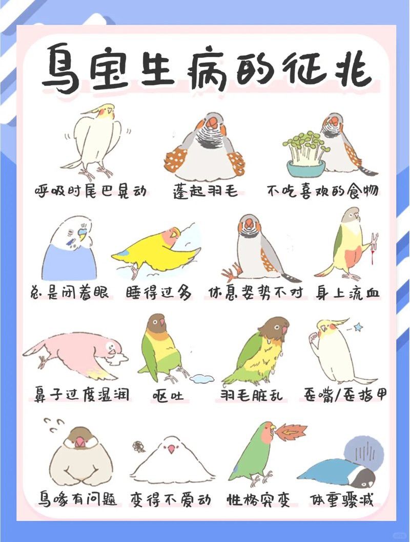 如何判斷小火龍是否需要休息？ 如何判斷小火龍是否需要休息？ 龍魚百科 第3張