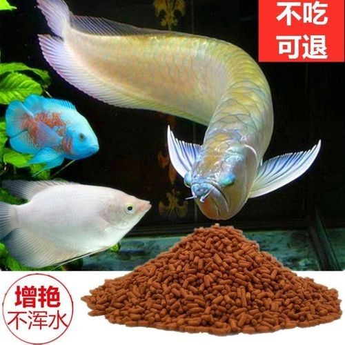 銀龍魚魚糧什么牌子好用