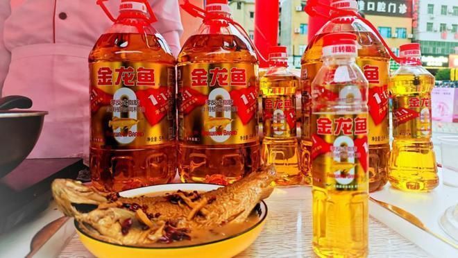 金龍魚比賽怎么比（金龍魚釣魚比賽的報(bào)名流程） 金龍魚比賽怎么比（金龍魚釣魚比賽的報(bào)名流程） 龍魚百科 第1張