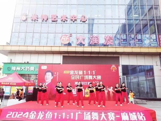 金龍魚比賽怎么比（金龍魚釣魚比賽的報(bào)名流程） 金龍魚比賽怎么比（金龍魚釣魚比賽的報(bào)名流程） 龍魚百科 第3張