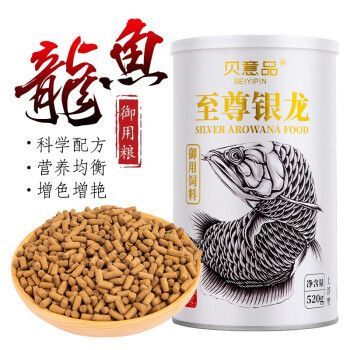 金龍魚(yú)的飼養(yǎng)注意事項(xiàng)：金龍魚(yú)增色喂食什么好，