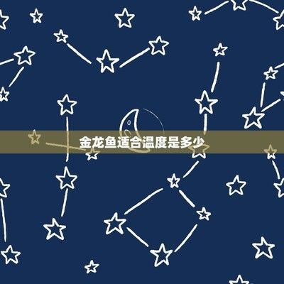 金龍魚適合的水溫是多少（金龍魚夏季降溫方法，金龍魚冬季養(yǎng)護(hù)技巧）