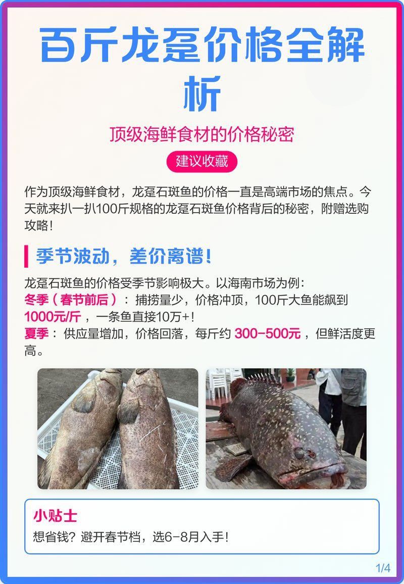 龍躉魚一斤市場價
