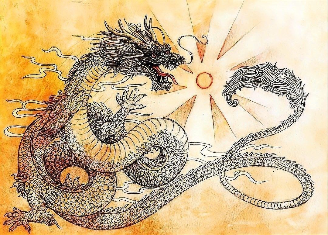 龍生有哪些超自然能力 龍生有哪些超自然能力 龍魚百科 第2張