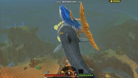 變異金龍魚的特點：變異金龍魚的具體特征