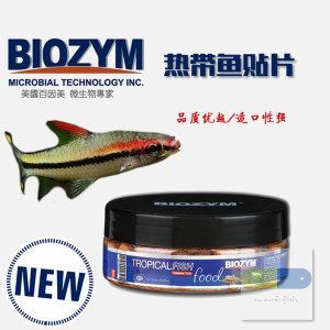 龍魚趴缸不動是什么原因：龍魚趴缸不動可能由多種因素引起，龍魚精神緊張的緩解技巧