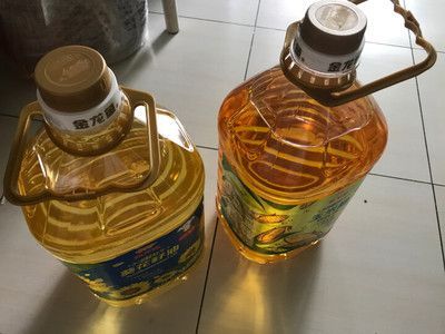 金龍魚(yú)收購(gòu)胡姬花（金龍魚(yú)收購(gòu)胡姬花品牌） 金龍魚(yú)收購(gòu)胡姬花（金龍魚(yú)收購(gòu)胡姬花品牌） 龍魚(yú)百科 第5張