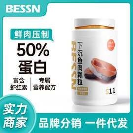 黑銀龍魚價格