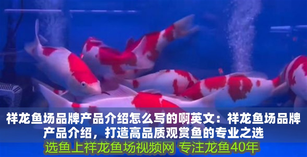 祥龍魚場品牌產品介紹怎么寫的啊英文：祥龍魚場品牌產品介紹，打造高品質觀賞魚的專業之選