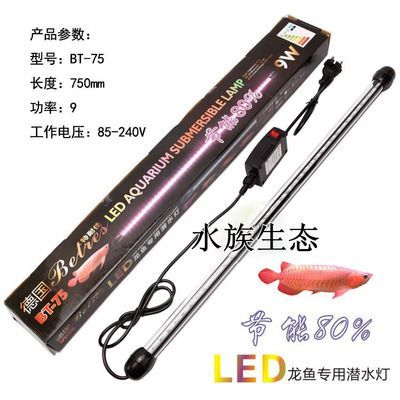 龍魚專用燈是多少伏的燈泡好：龍魚專用燈電壓選擇