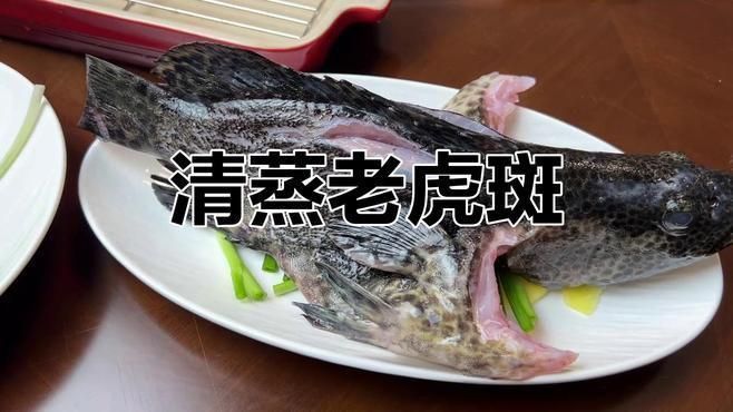 老虎斑魚的最佳吃法 老虎斑魚的最佳吃法 龍魚百科 第2張