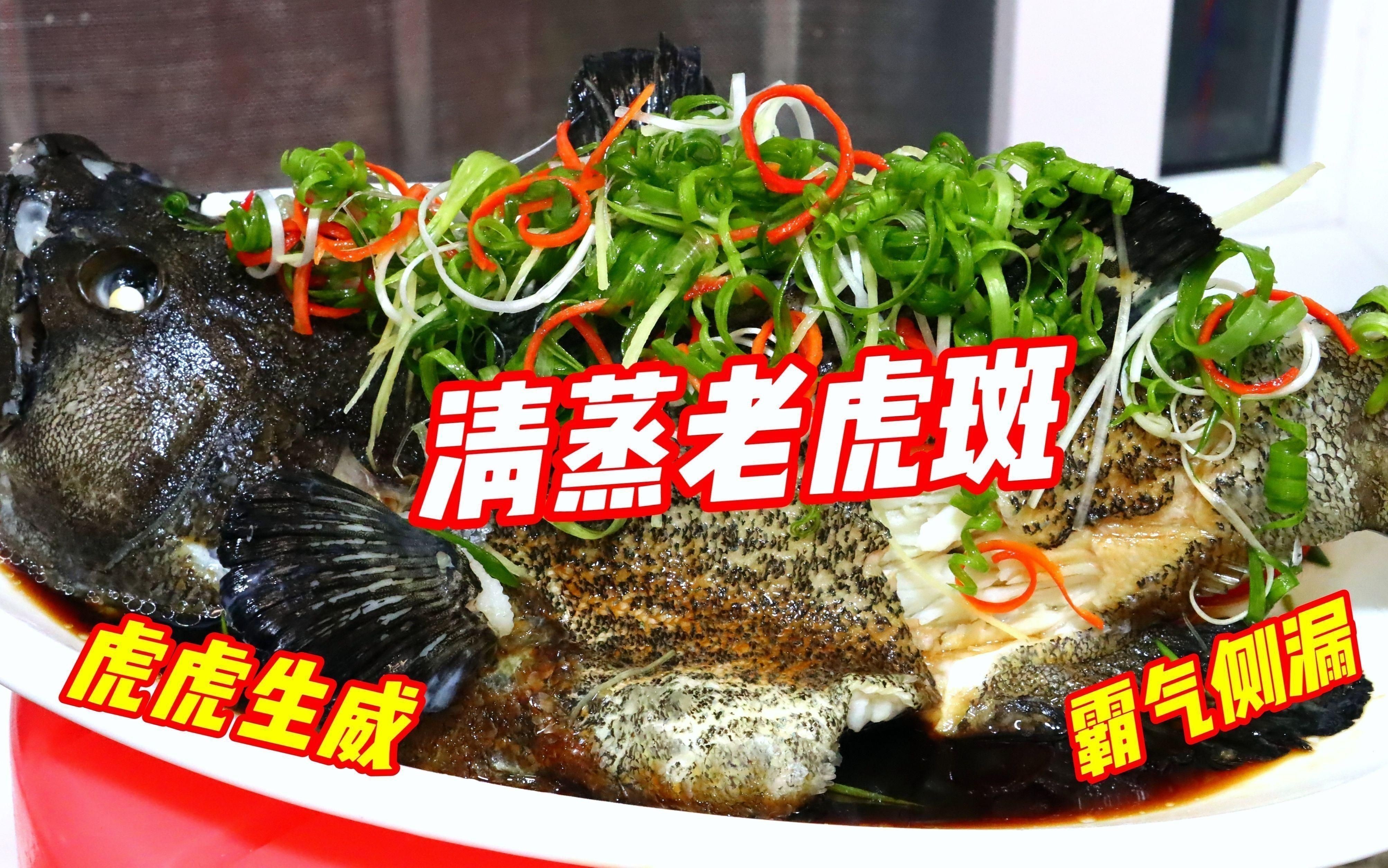 老虎斑魚的最佳吃法 老虎斑魚的最佳吃法 龍魚百科 第4張