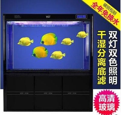 龍魚缸用什么燈是黃色的好還是綠色：如何選擇龍魚缸燈光 龍魚缸用什么燈是黃色的好還是綠色：如何選擇龍魚缸燈光 龍魚百科 第1張