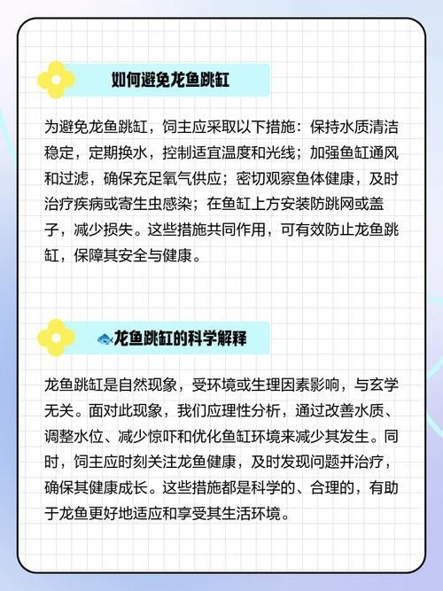 恐龍魚會不會跳缸呢圖片大全