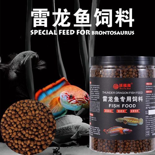 幻彩紅寶石雷龍魚喂什么發色好
