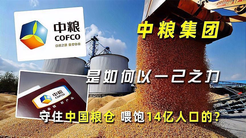 金龍魚和中糧哪個更值得信任