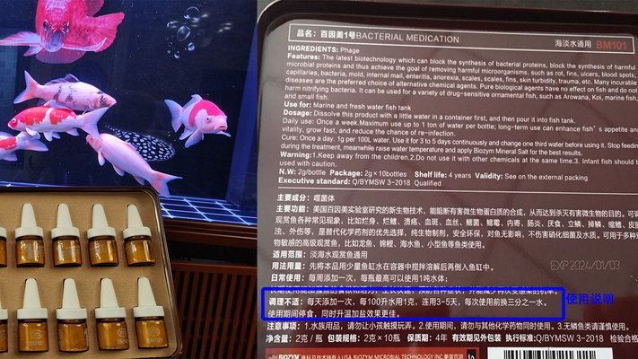 魚缸一般多久換水（如何判斷魚缸水質好壞）