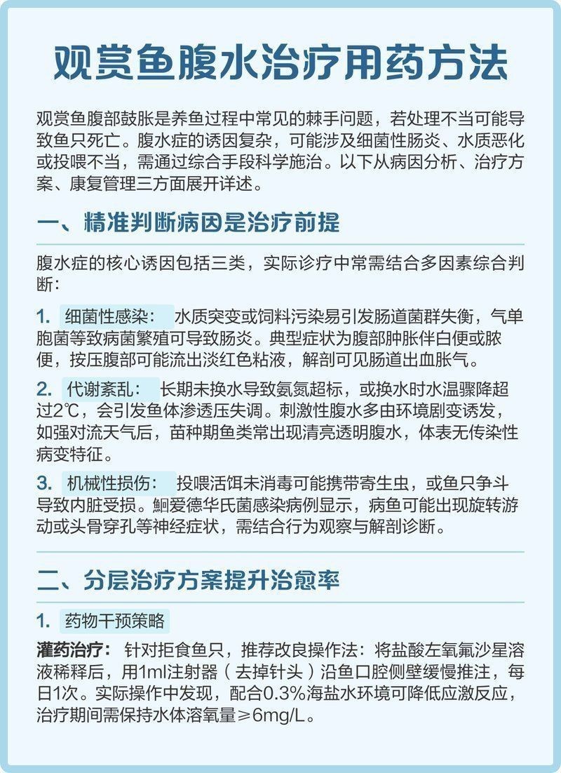 金龍魚腹水病如何治療？
