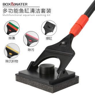 龍魚缸用什么清潔魚：清潔龍魚缸的方法