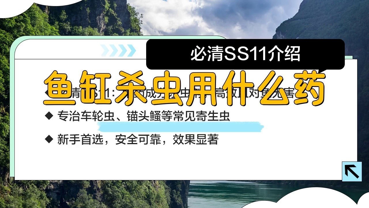 有哪些龍魚專用驅蟲藥？