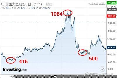 金龍魚 美國控股，金龍魚全球市場競爭力如何？
