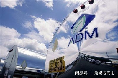 金龍魚 美國控股，金龍魚全球市場競爭力如何？