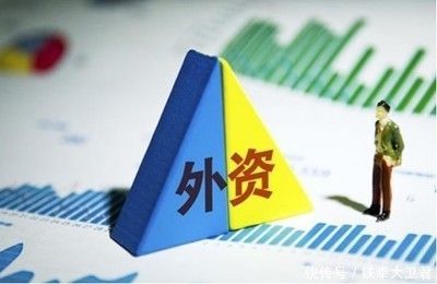 金龍魚 美國控股，金龍魚全球市場競爭力如何？