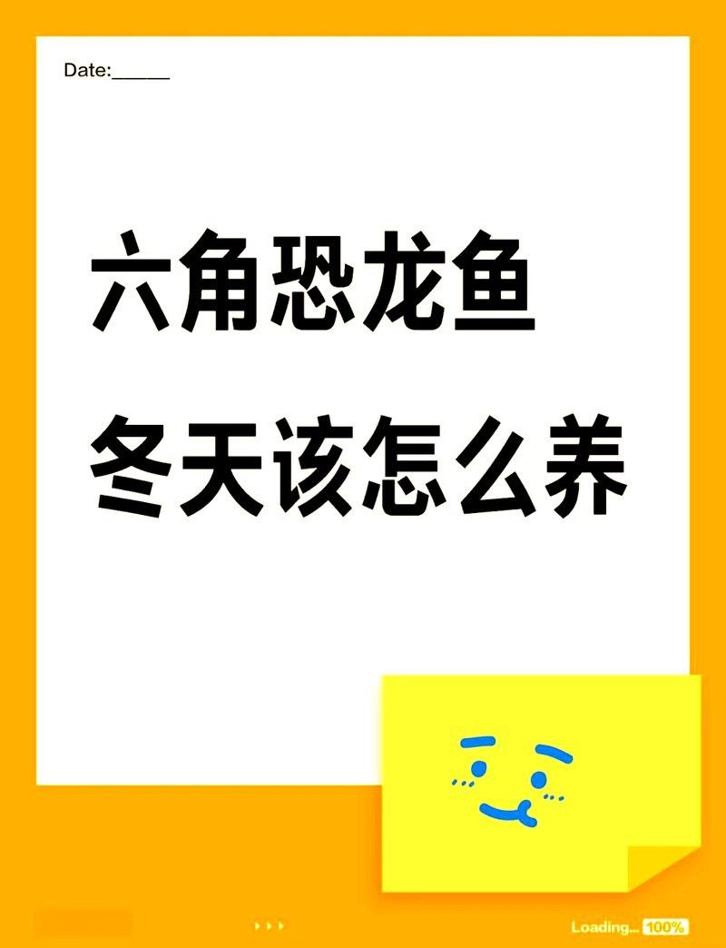 恐龍魚冬天怎么養(yǎng)活