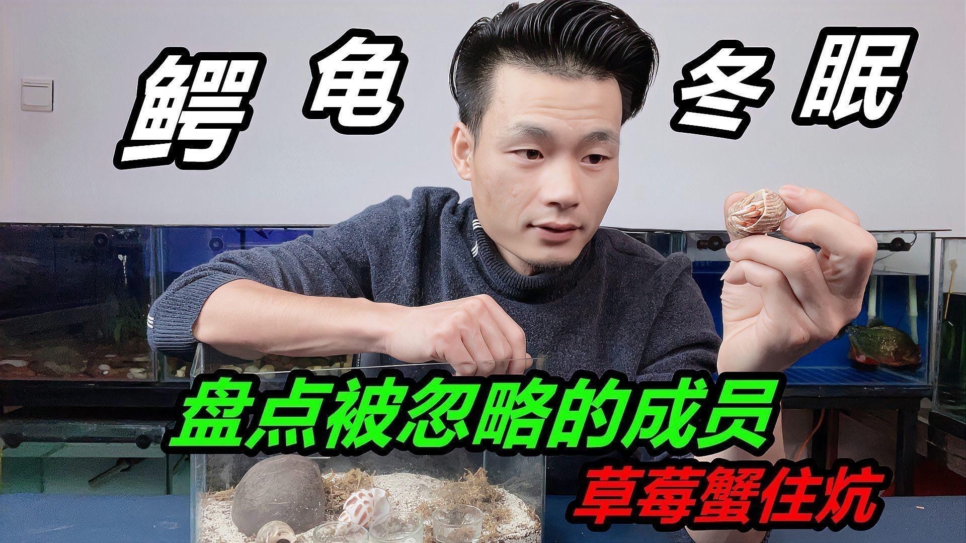 恐龍魚冬天怎么養(yǎng)活