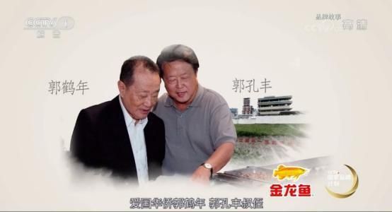 觀賞魚金龍魚價格表（觀賞的金龍魚多少錢）