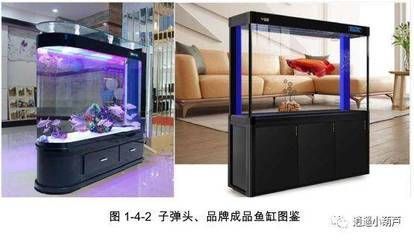 龍魚魚缸寬度最低要求：龍魚魚缸寬度最低要求通常在60至80厘米左右