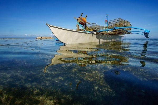 龍魚變色怎么回事視頻：龍魚變色的具體原因和處理方法