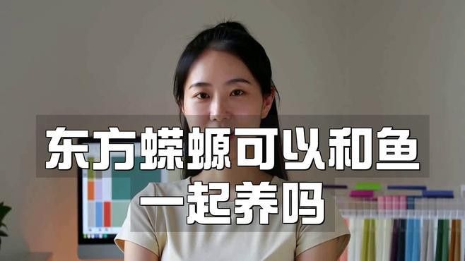 火龍魚可以和什么魚混養一起養魚