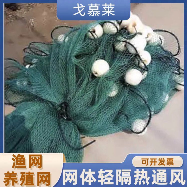 紅龍魚的介紹詞怎么寫的啊