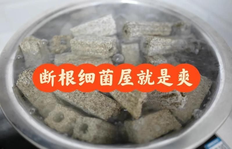 金魚缸最佳濾材