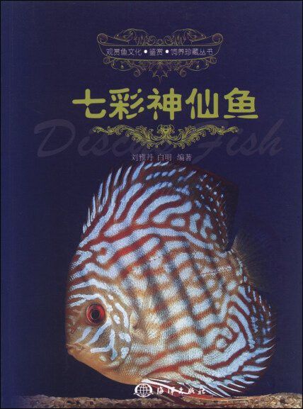 劉雅丹和白明是如何合作的？