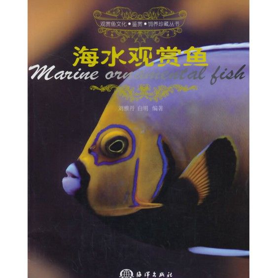 劉雅丹和白明是如何合作的？
