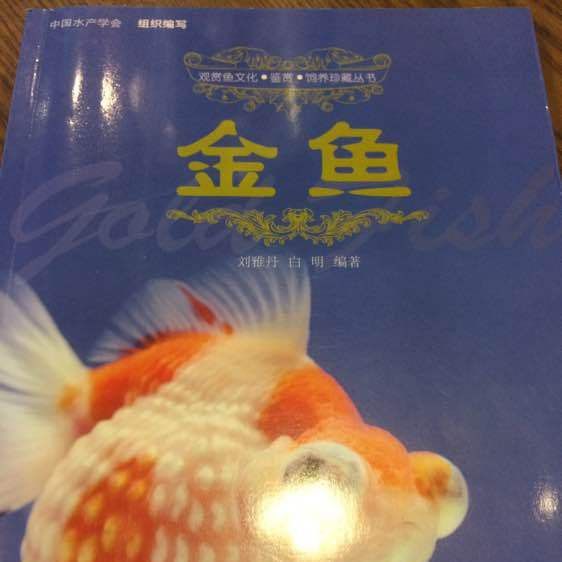 劉雅丹和白明是如何<strong><mark>合作</mark></strong>的？
