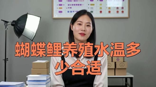 龍魚和蝴蝶鯉混養秘訣圖片 龍魚和蝴蝶鯉混養秘訣圖片 龍魚百科 第2張