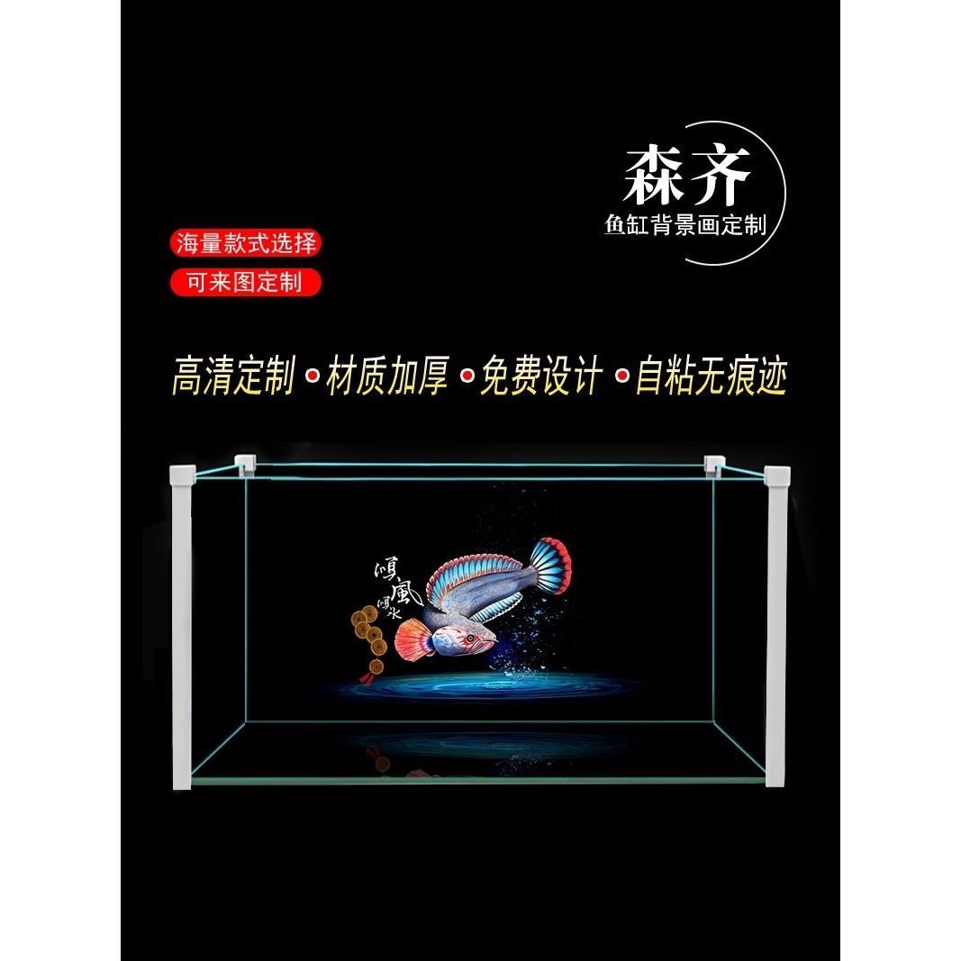 雷龍魚產地是亞馬遜的嗎，雷龍魚在亞馬遜河流域的分布