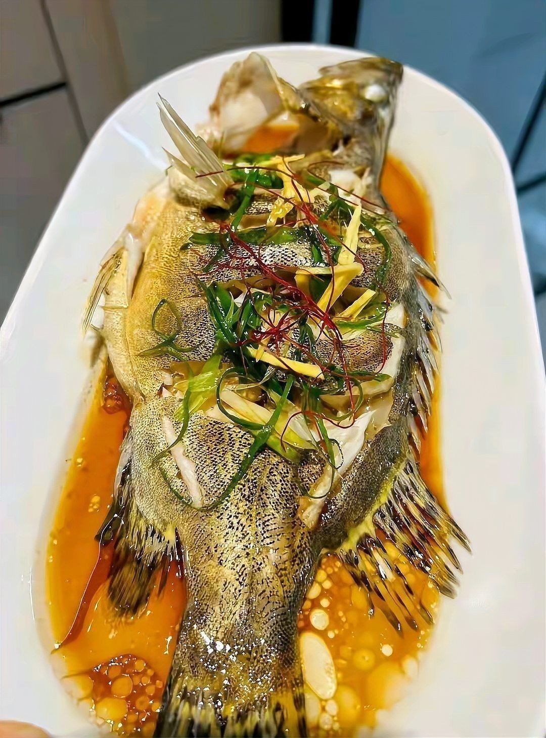 中國十大名魚排名