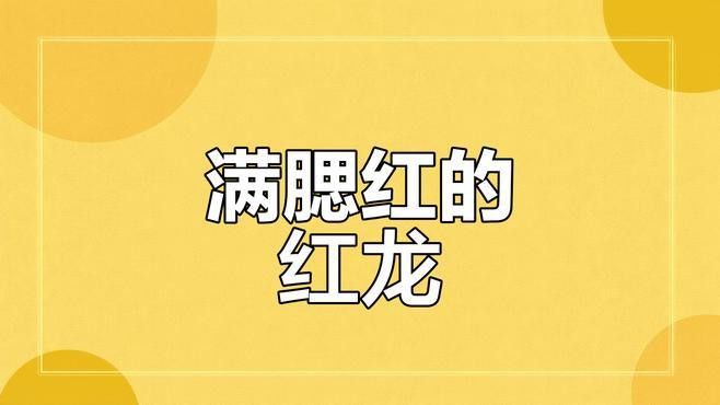 紅龍腮紅的價格是多少？