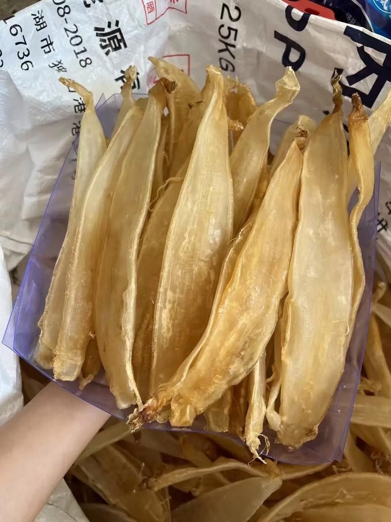 金龍魚魚膠和黃花魚魚膠的區別