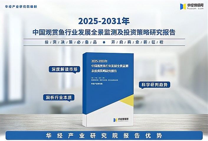 龍睛魚的市場需求如何