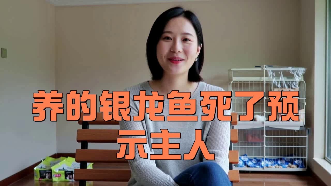 如何判斷水質(zhì)是否適合銀龍魚(yú)？