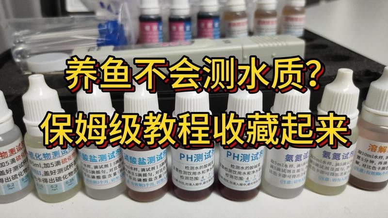 如何判斷水質(zhì)是否適合銀龍魚(yú)？