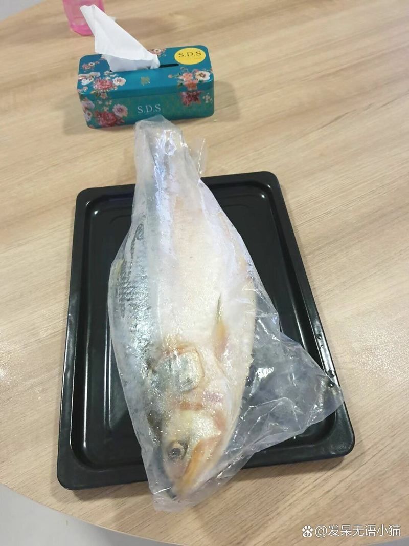 馬來西亞最貴10大名貴魚排行榜